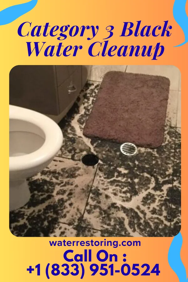 Category 3 Black Water Cleanup in Red Hill, PA