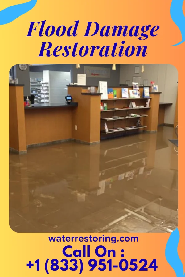 Flood Damage Restoration in Red Hill, PA